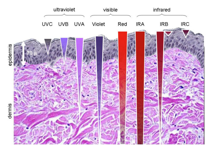Most red light products use 630nm