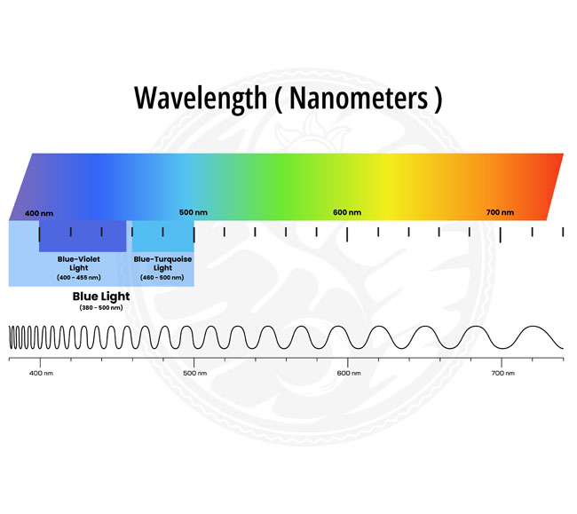What Is Blue Light