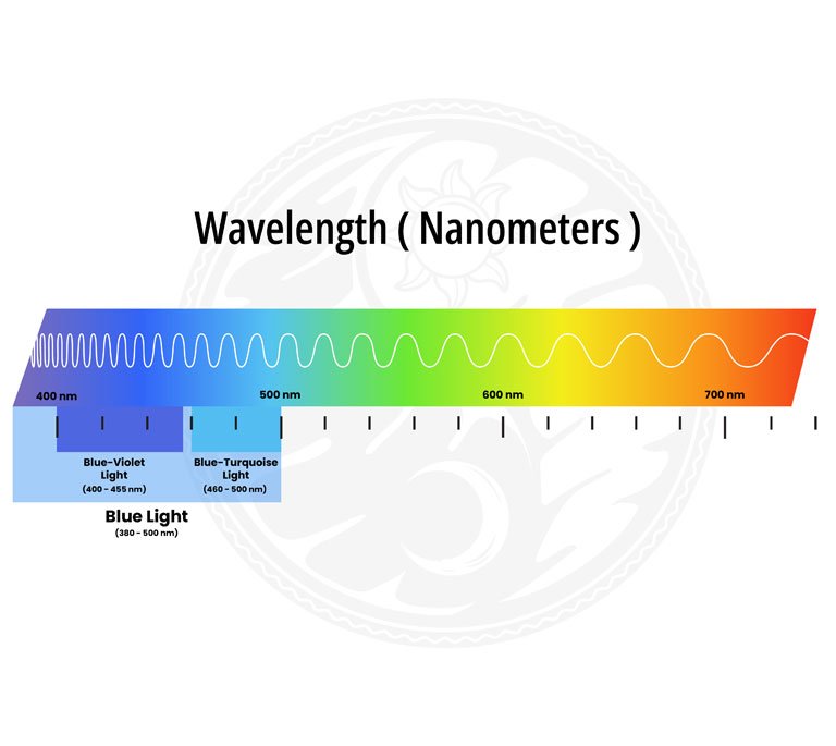 Visible light spectrum — wavelengths from 400nm (blue-violet) to 700nm (red)