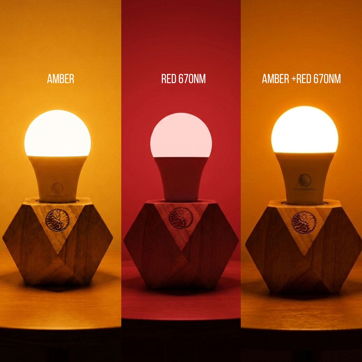 Ambered Bulb (3-in-1)