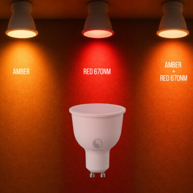 Ambered Bulb GU10